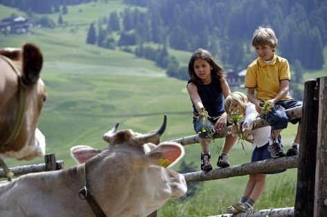 Vacanze in Valle di Anterselva: idillio rurale al maso Steinzgerhof